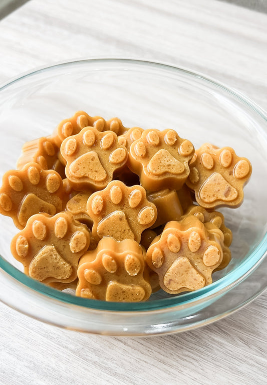 How To Make Easy "Multivitamin" Gummy Dog Treats