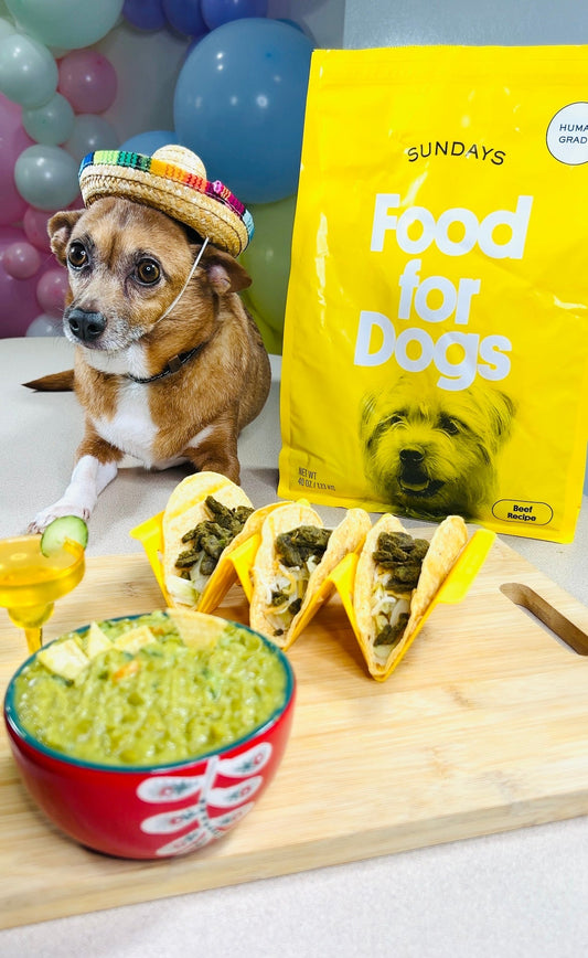 Tacos for Dogs