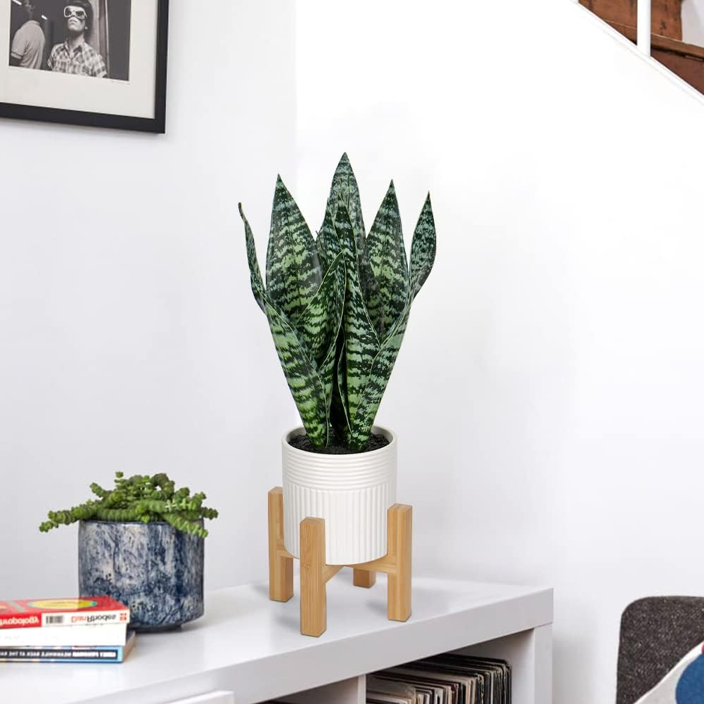 Fake Snake Plant 14" - Modern Home Decor