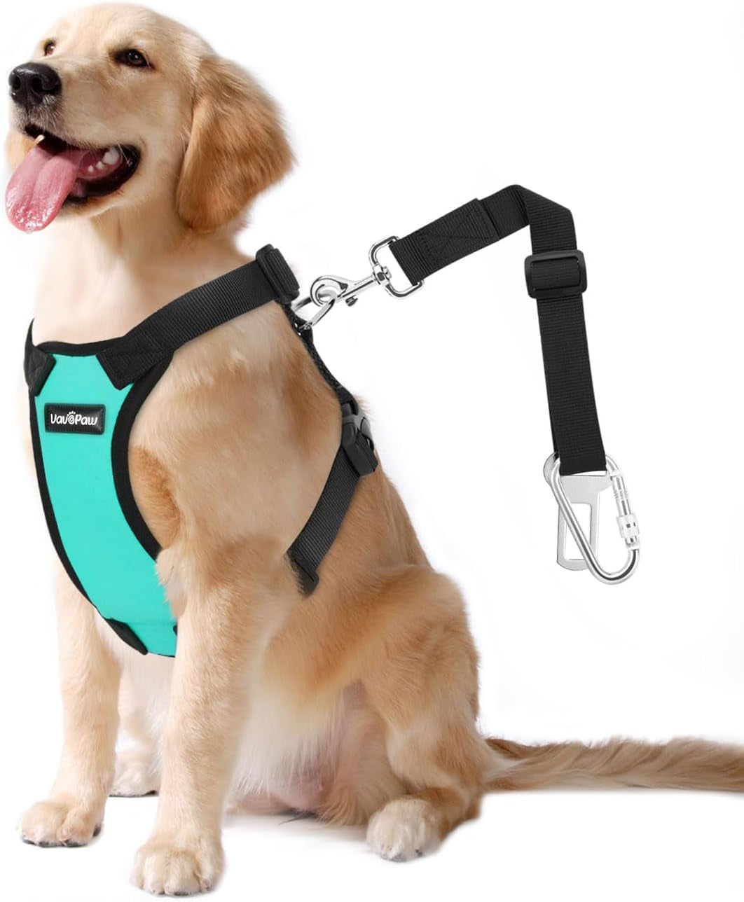 Dog Vehicle Safety Vest Harness - Adjustable Soft Padded Mesh - Modern Car Seat Belt Leash Harness with Travel Strap 