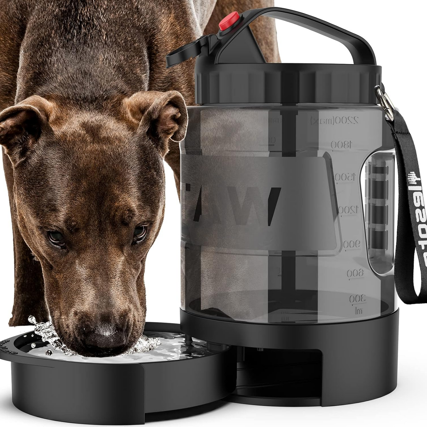 Dog Water Dispenser