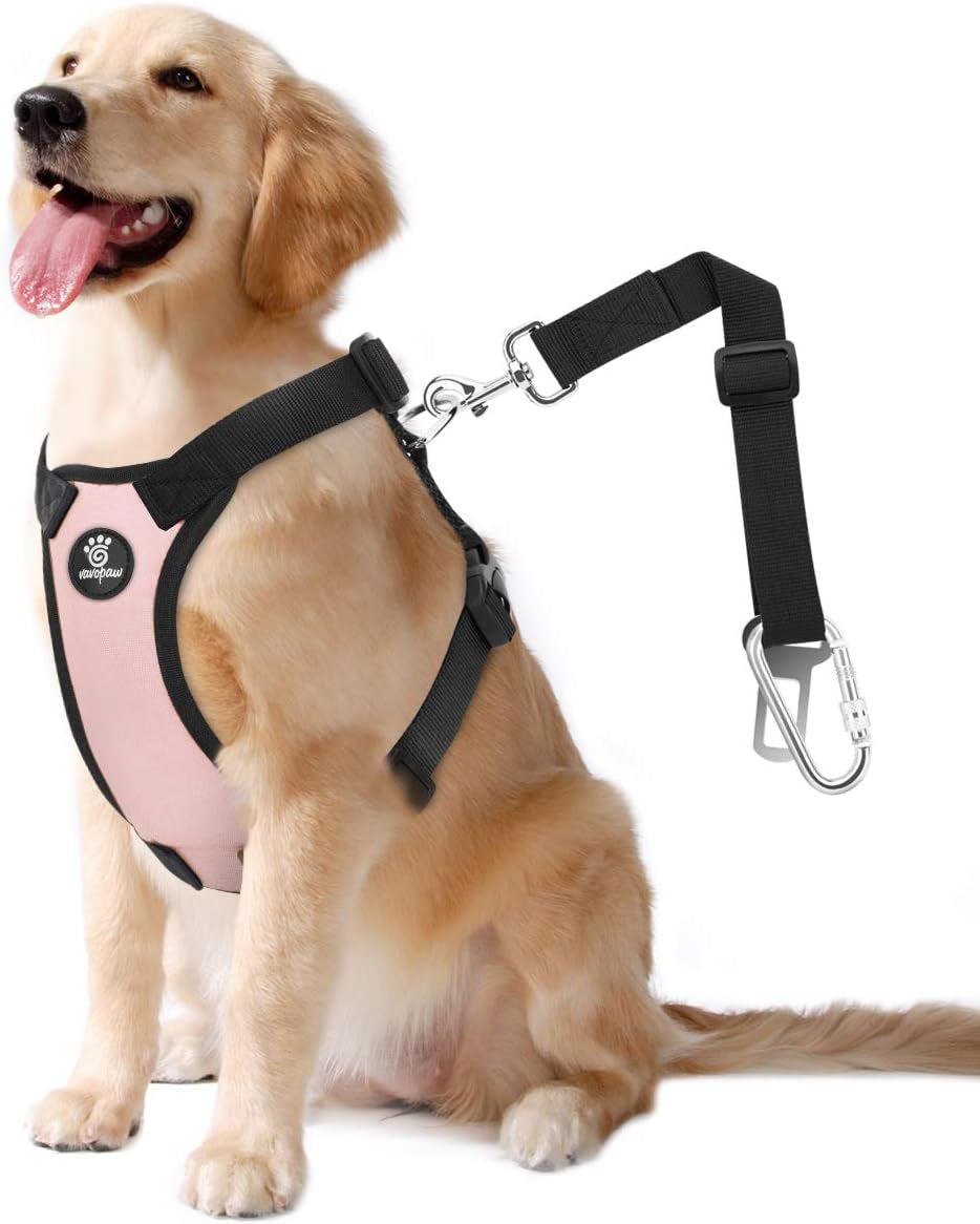 Dog Vehicle Safety Vest Harness - Adjustable Soft Padded Mesh - Modern Car Seat Belt Leash Harness with Travel Strap 