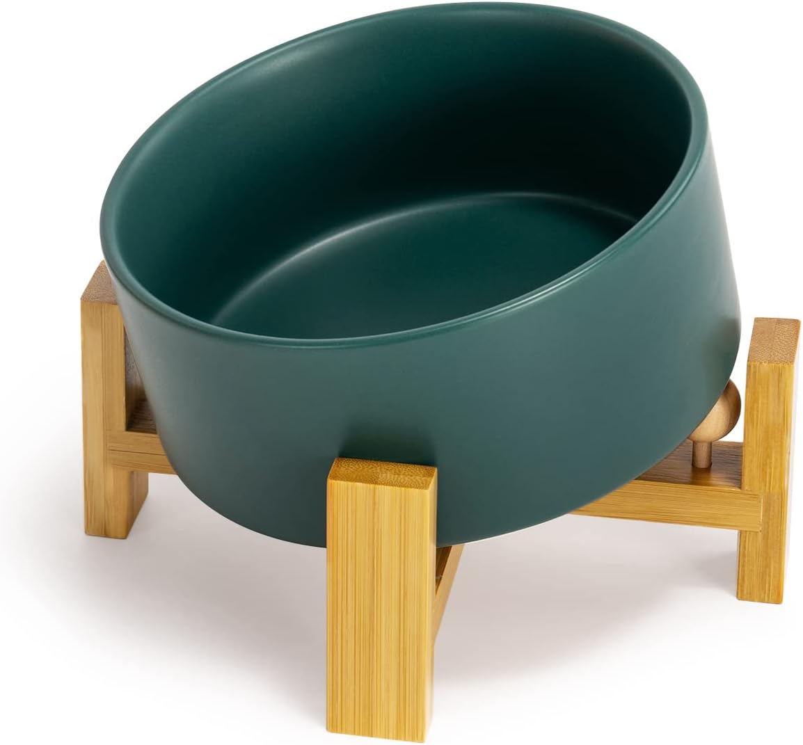 Modern Slanted Dog Bowls