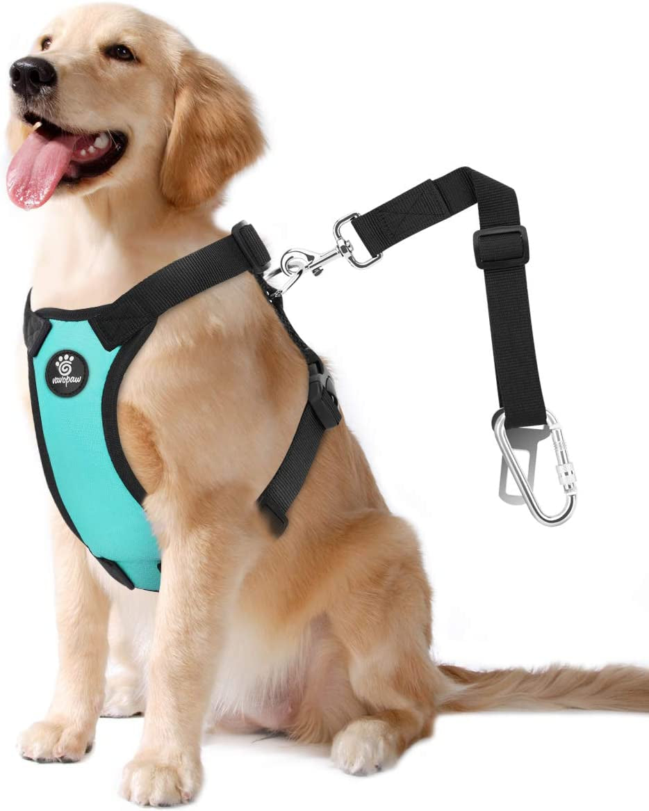 Dog Vehicle Safety Vest Harness - Adjustable Soft Padded Mesh - Modern Car Seat Belt Leash Harness with Travel Strap 