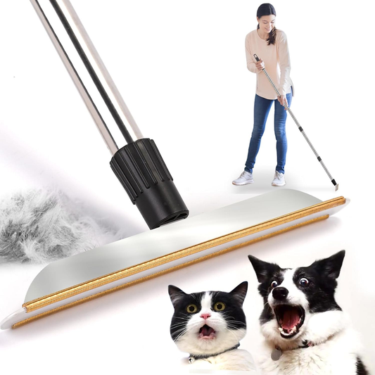 Pet Hair Remover Carpet Rake