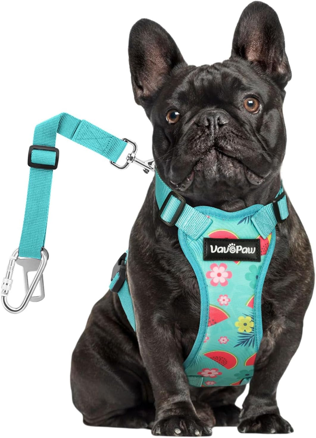 Dog Vehicle Safety Vest Harness - Adjustable Soft Padded Mesh - Modern Car Seat Belt Leash Harness with Travel Strap 