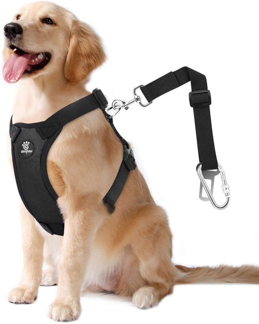 Dog Vehicle Safety Vest Harness - Adjustable Soft Padded Mesh - Modern Car Seat Belt Leash Harness with Travel Strap 