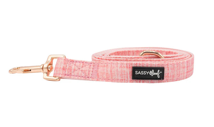 Dolce Rose - Modern Dog Leash