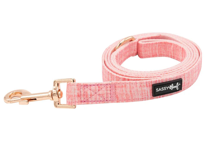 Dolce Rose - Modern Dog Leash