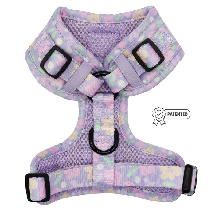 Fleur de Sass - Modern Adjustable Dog Harness