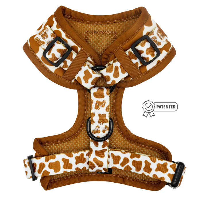 Chocolate Milk - Modern Adjustable Dog Harness