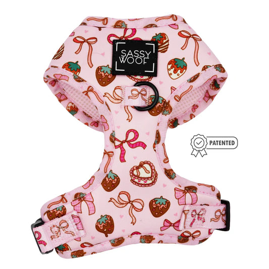 Sweet Treats - Modern Adjustable Dog Harness