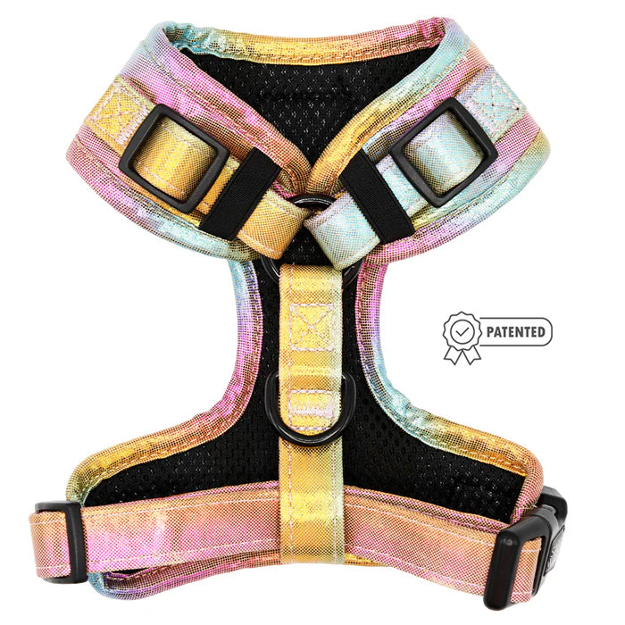 The Night Life - Modern Adjustable Dog Harness