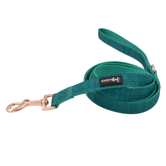 Napa - Modern Dog Leash