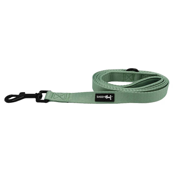 Sage - Modern Dog Leash