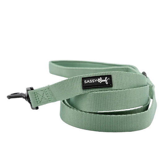 Sage - Modern Dog Leash