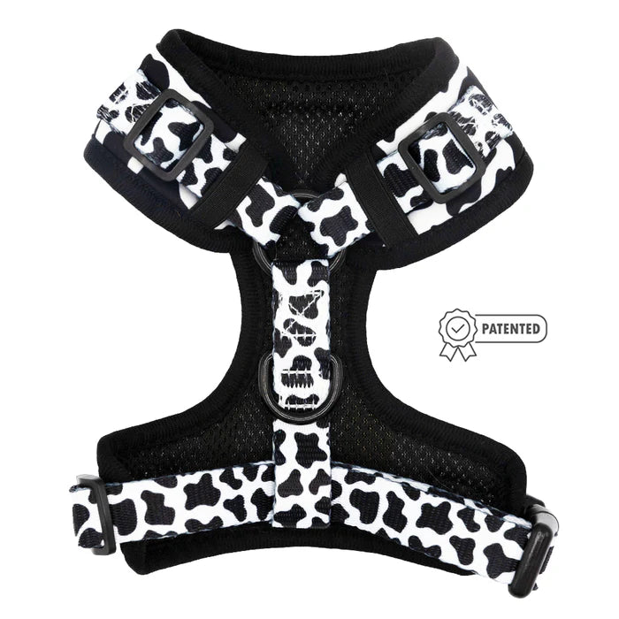 Whole Milk - Modern Adjustable Dog Harness