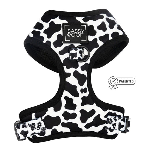 Whole Milk - Modern Adjustable Dog Harness