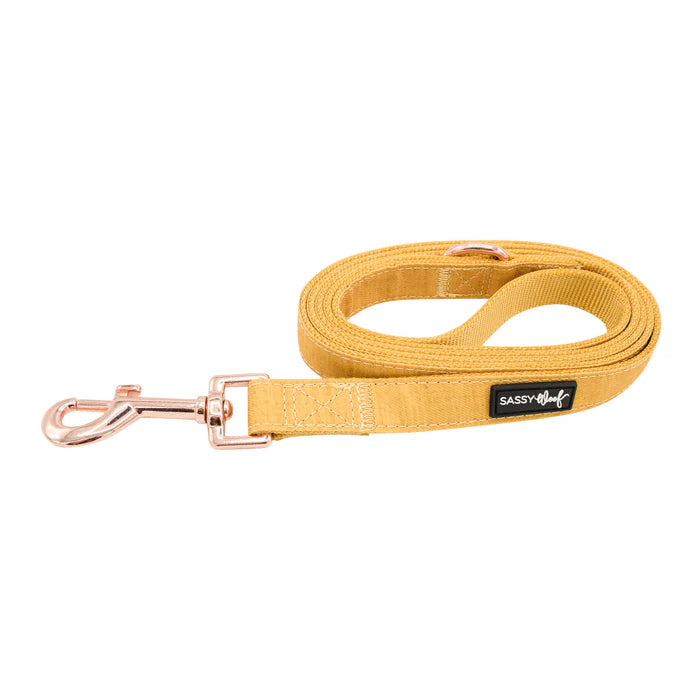 Sunflower Fields - Modern Dog Leash