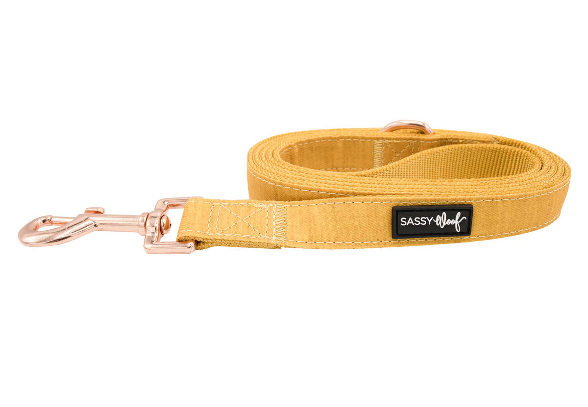 Sunflower Fields - Modern Dog Leash