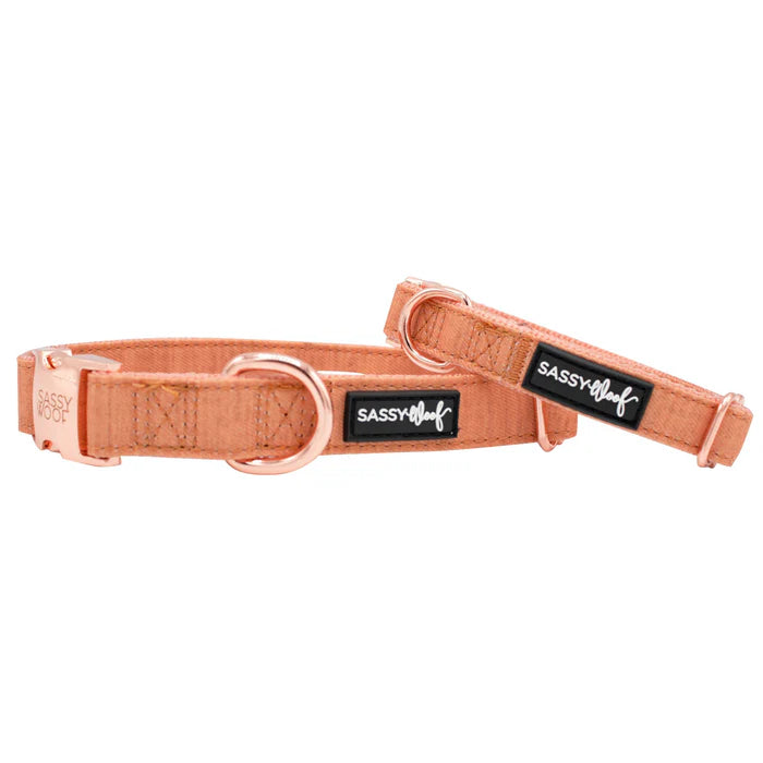 Apple Cider - Modern Dog Collar