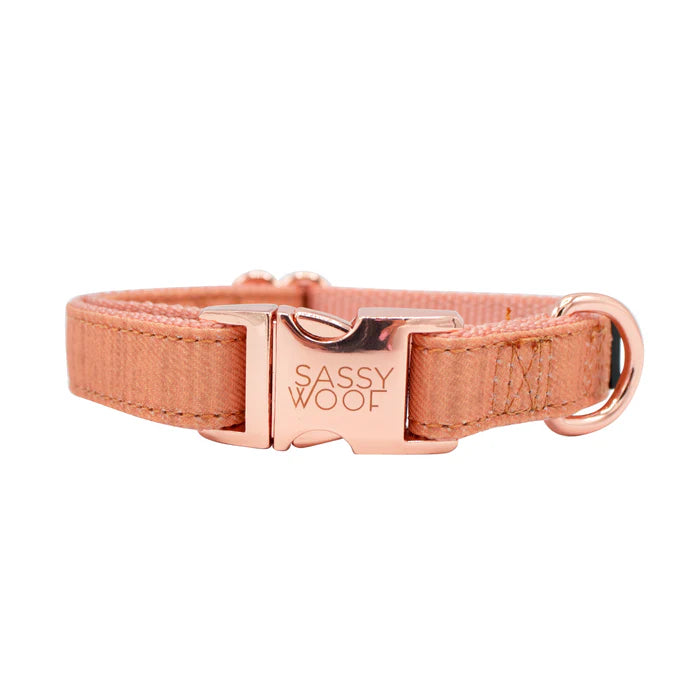 Apple Cider - Modern Dog Collar