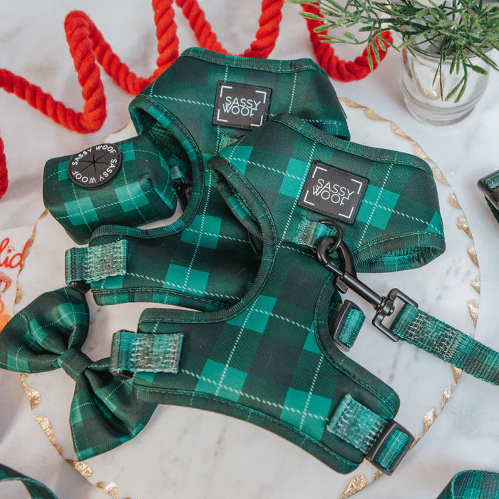 Barks Of Holly - Modern Dog Christmas Harness