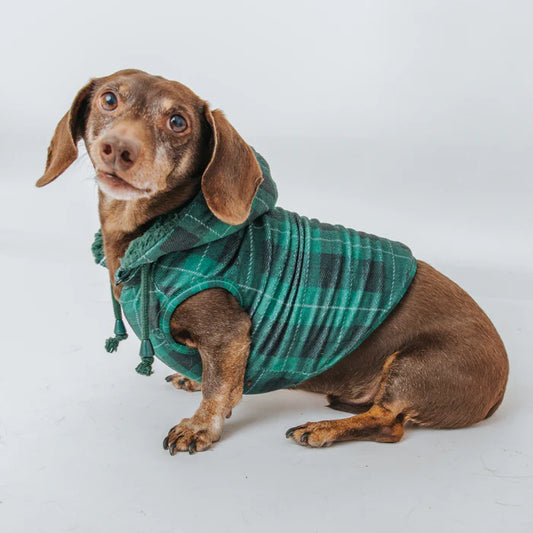 Barks Of Holly - Modern Dog Christmas Jacket