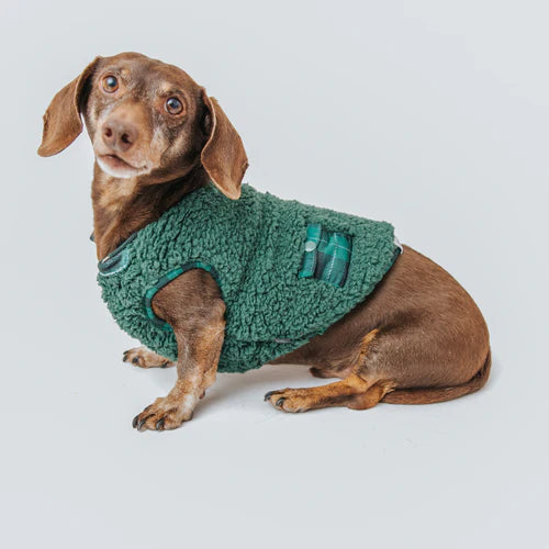 Barks Of Holly - Modern Dog Christmas Jacket