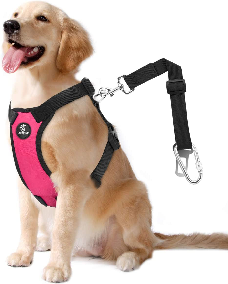 Dog Vehicle Safety Vest Harness - Adjustable Soft Padded Mesh - Modern Car Seat Belt Leash Harness with Travel Strap 