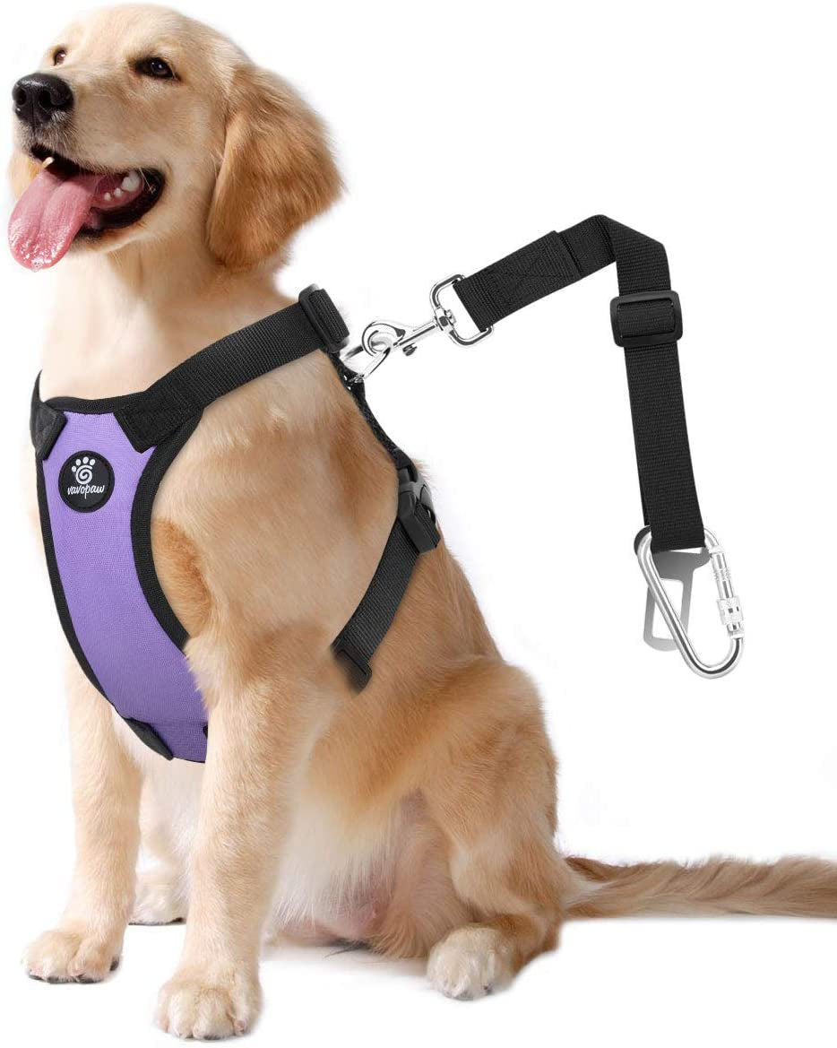 Dog Vehicle Safety Vest Harness - Adjustable Soft Padded Mesh - Modern Car Seat Belt Leash Harness with Travel Strap 