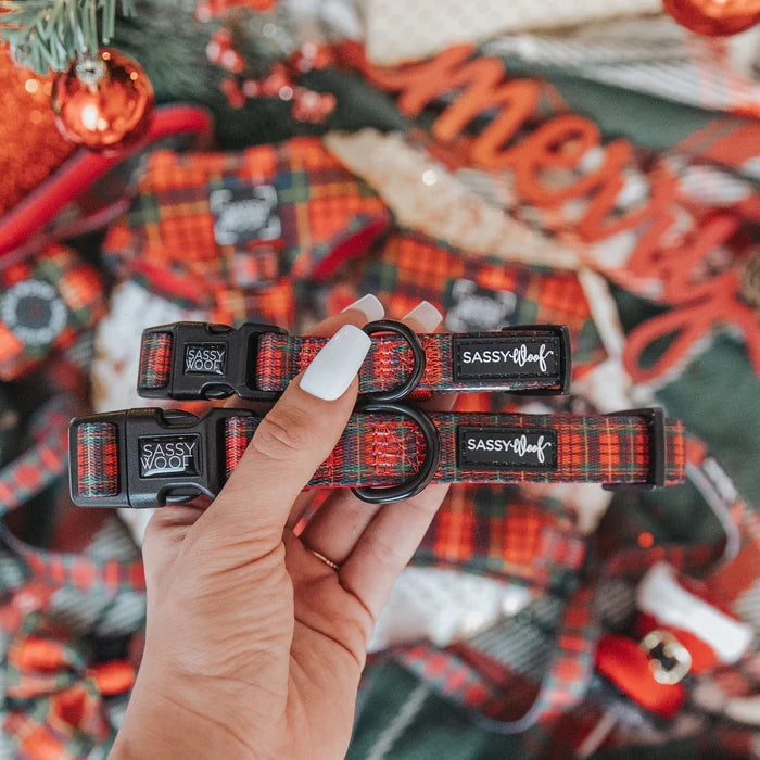 Deck The Paws - Modern Plaid Dog Collar