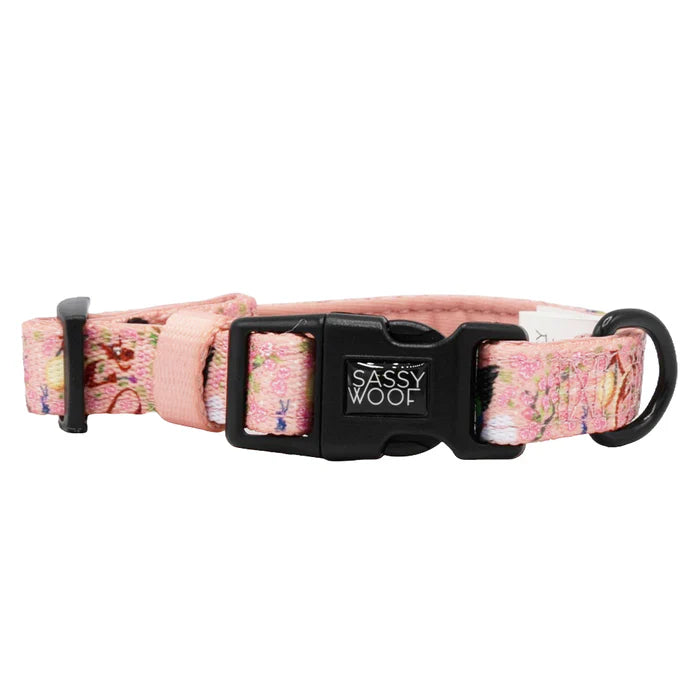 Disney's Mulan - Modern Dog Collar