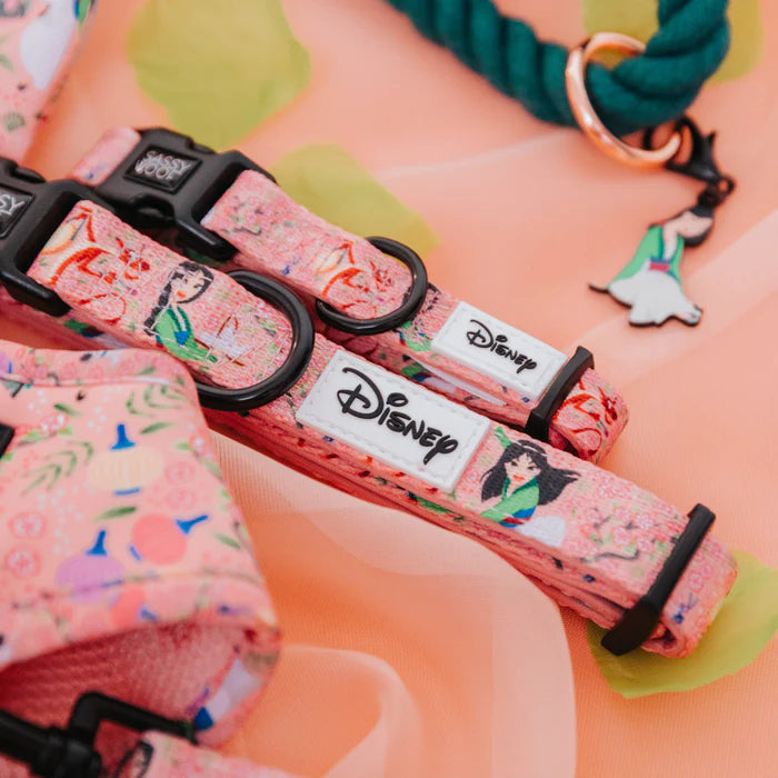 Disney's Mulan - Modern Dog Collar