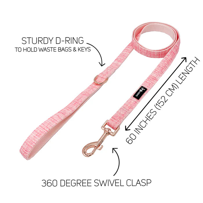 Dolce Rose - Modern Dog Leash