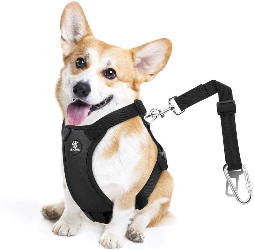 Dog Vehicle Safety Vest Harness - Adjustable Soft Padded Mesh - Modern Car Seat Belt Leash Harness with Travel Strap 