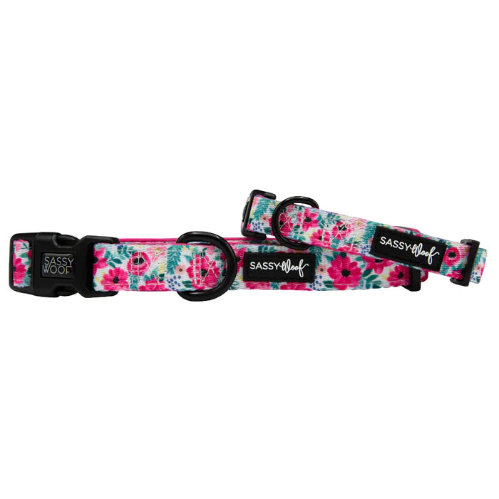 Floral Frenzy - Modern Dog Collar