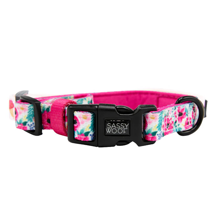 Floral Frenzy - Modern Dog Collar