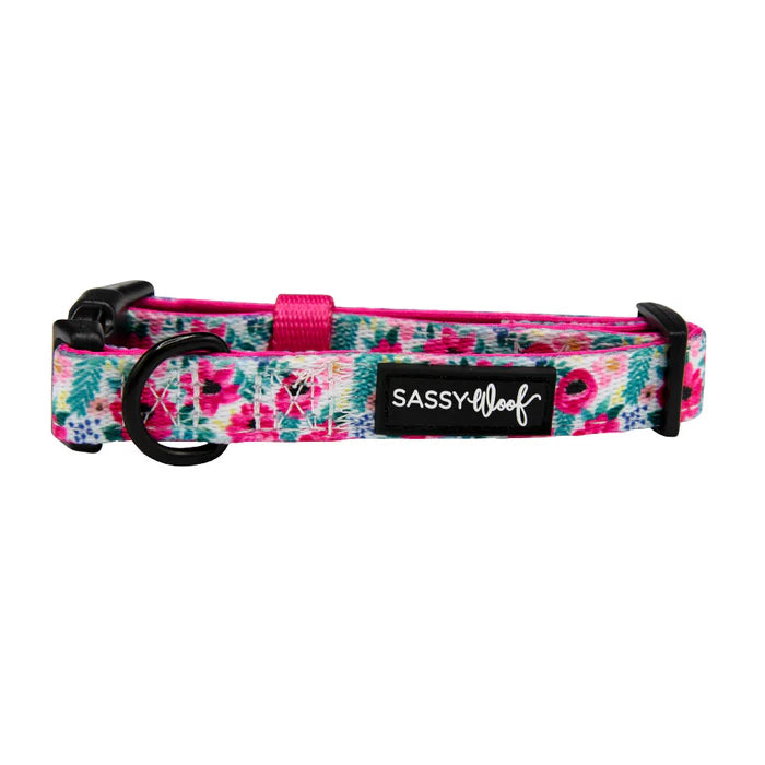 Floral Frenzy - Modern Dog Collar