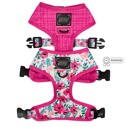 Floral Frenzy - Modern Dog Reversible Harness