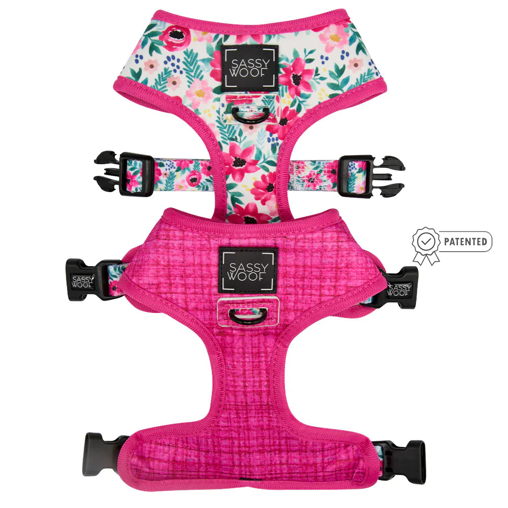 Floral Frenzy - Modern Dog Reversible Harness