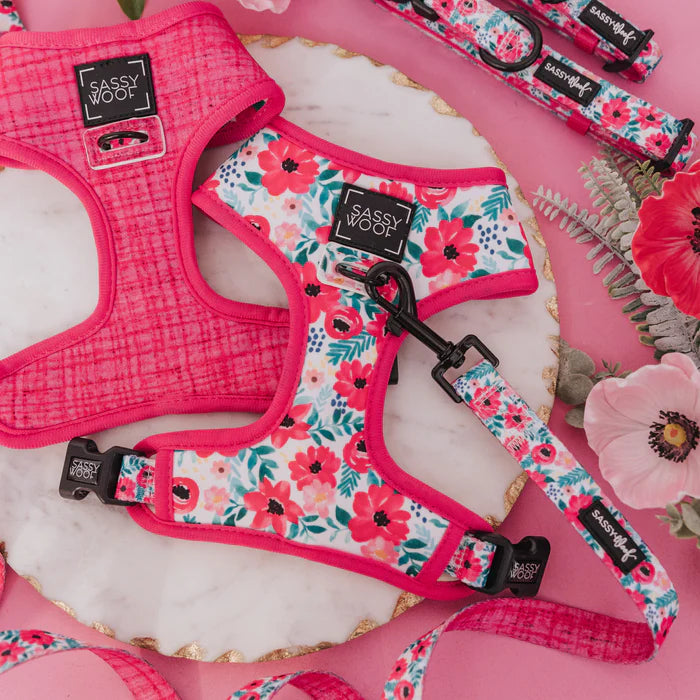 Floral Frenzy - Modern Dog Reversible Harness