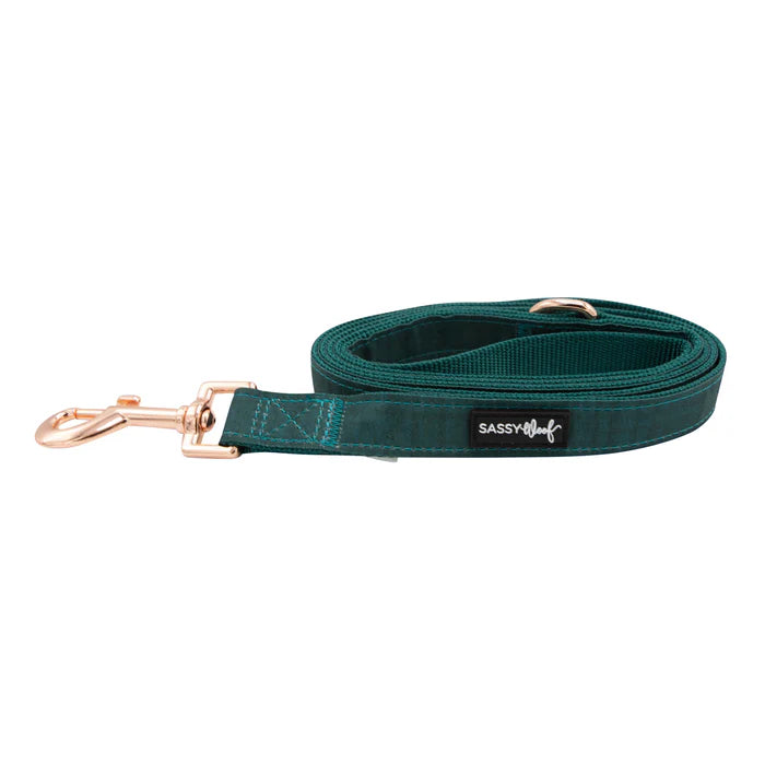 Forest - Modern Dog Leash