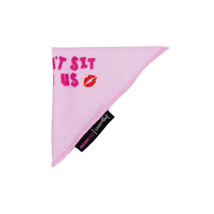 Mean Girls™ You Can't Sit With Us - Modern Dog Bandana