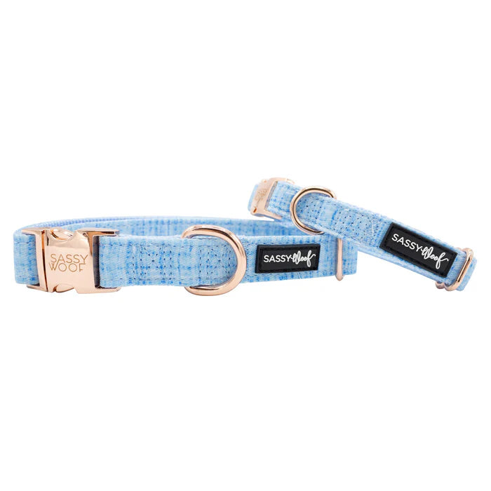 Blumond - Modern Dog Collar