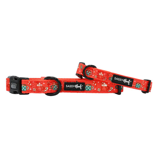 Hot Cocoa Club - Modern Christmas Dog Collar