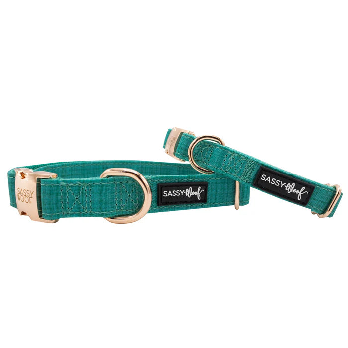 Napa - Modern Dog Collar