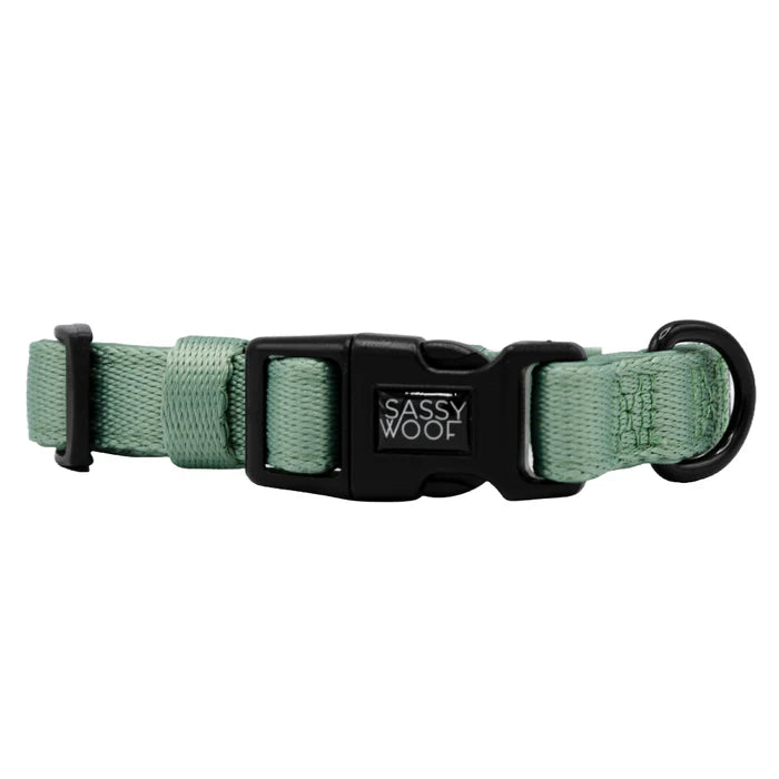 Sage - Modern Dog Collar