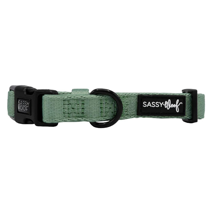 Sage - Modern Dog Collar