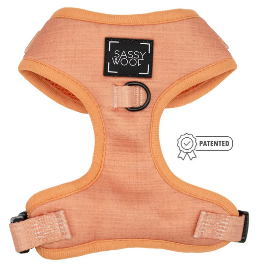 Apple Cider - Modern Dog Adjustable Harness